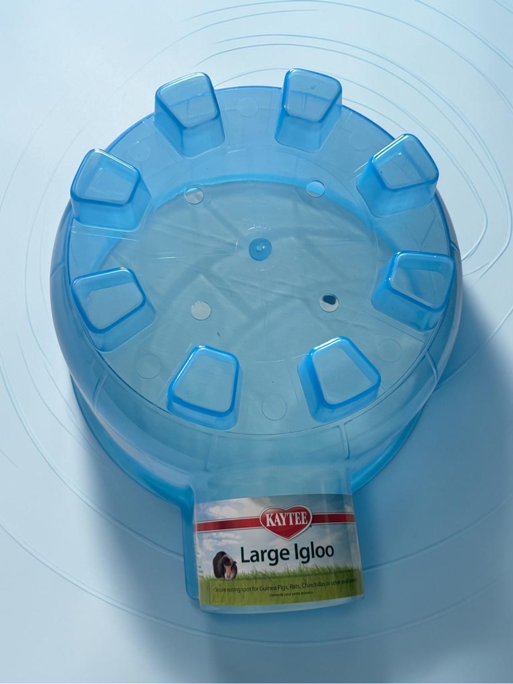 Kaytee Large Igloo small Pet Hideaway - Light Blue